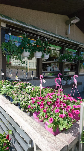 KukkaBox - Ravintola-ala