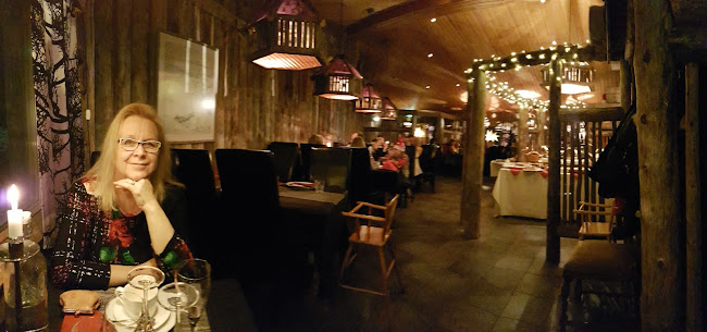Riipisen Riistaravintola / Riipinen Wild Game Restaurant - Ravintola-ala