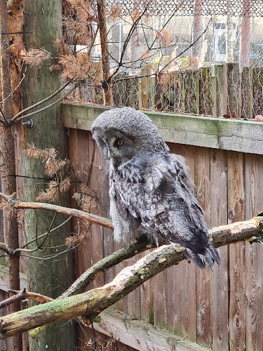 Comentarii opinii despre Kaakkolampi Cafe