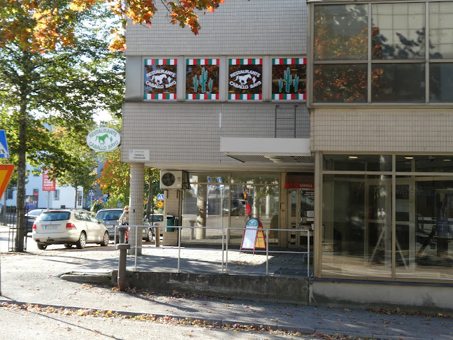 Caballo Bayo - Lohja