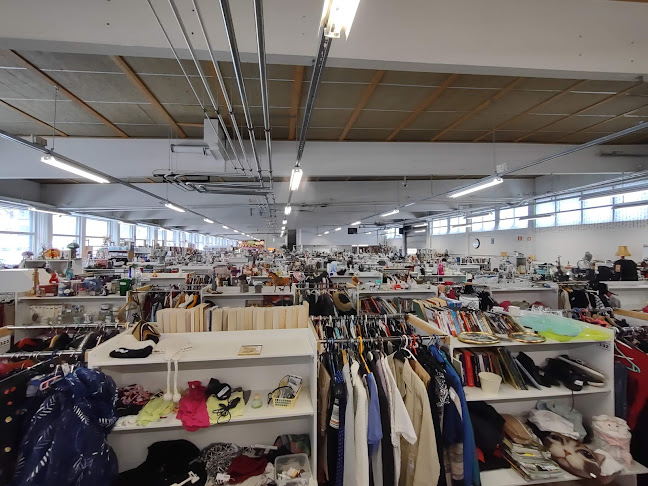 Comentarii opinii despre Aarresaari