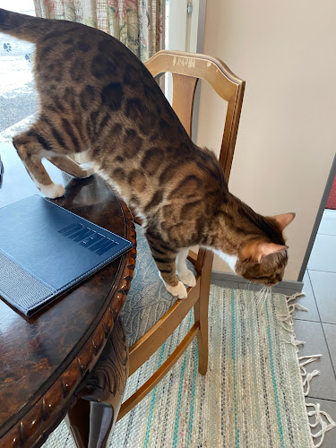 Kahvila Kissantassu - Järvenpää