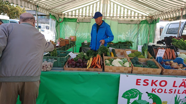 Comentarii opinii despre Haminan tori