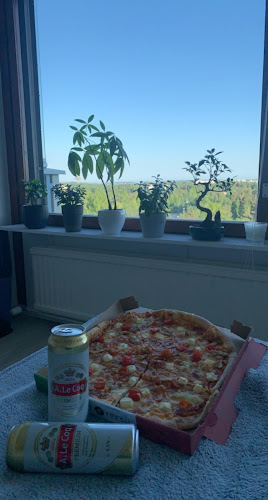 Comentarii opinii despre Pizza MIX