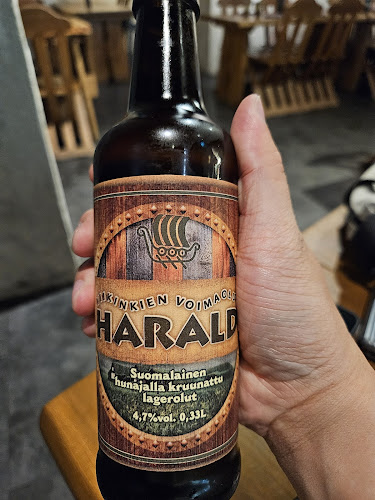 Opinii despre Viikinkiravintola Harald în Helsinki - Ravintola-ala