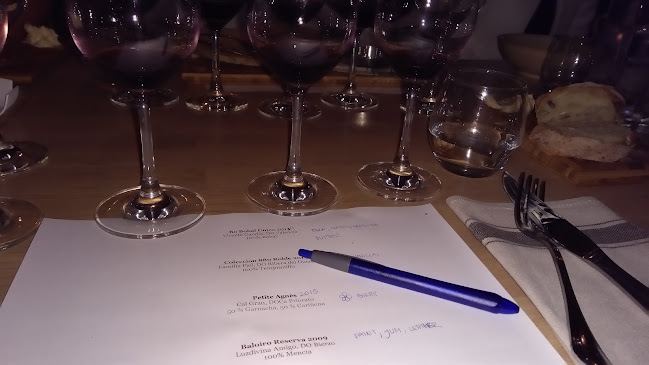 Comentarii opinii despre Gustavo