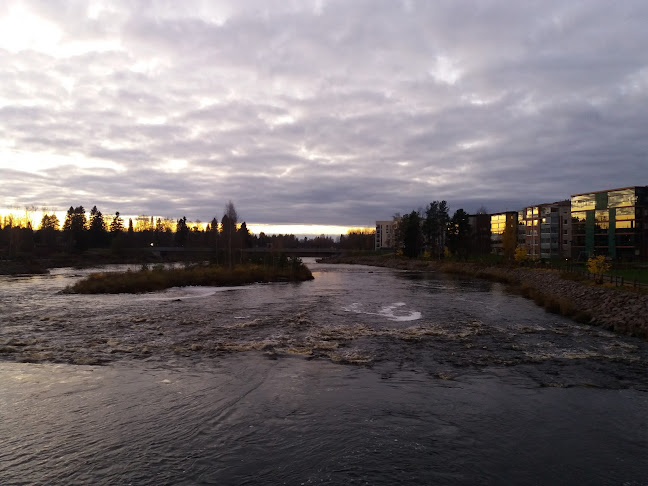 Savisilta 1, 84100 Ylivieska