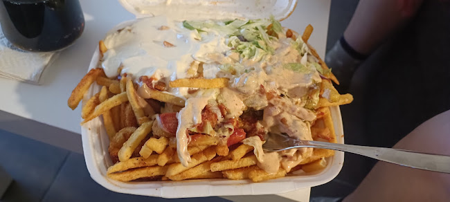 Comentarii opinii despre Parkanon Auto-Grilli