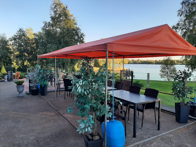 Opinii despre Ravintola Hakuninmäki în Harjavalta - Ravintola-ala