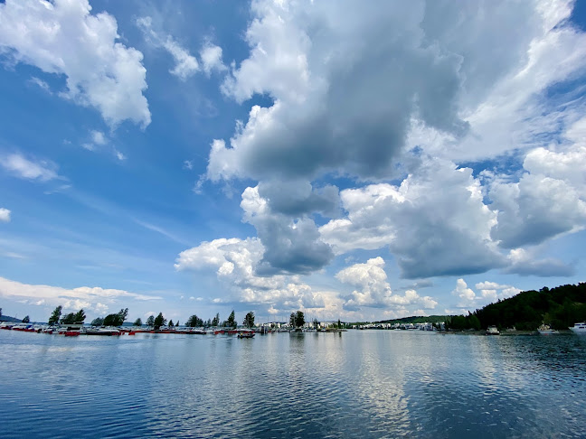 Ravintola Lokki - Ravintola-ala