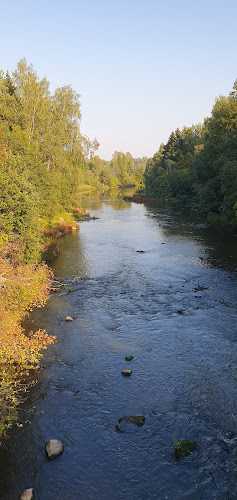 Ravintola Kuninkaan Lohet - Vanha Viilatehdas - Ravintola-ala