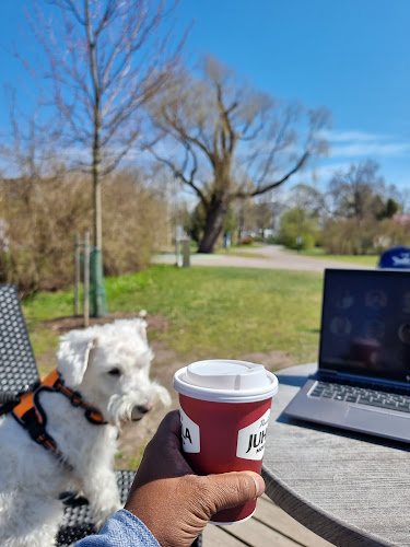 Kupittaanpuisto, 20520 Turku