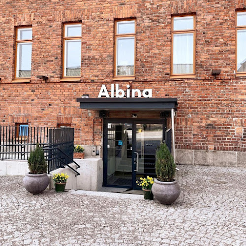 Albina Ravintola & Viinibaari