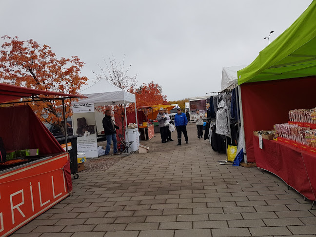 Comentarii opinii despre Rantatori