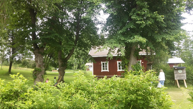 Comentarii opinii despre Pulsan Asema