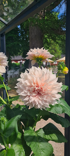 Pulsan Asema - Pulsa