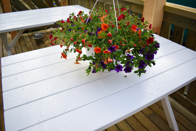 Kosilkka Oy - Polvijärvi