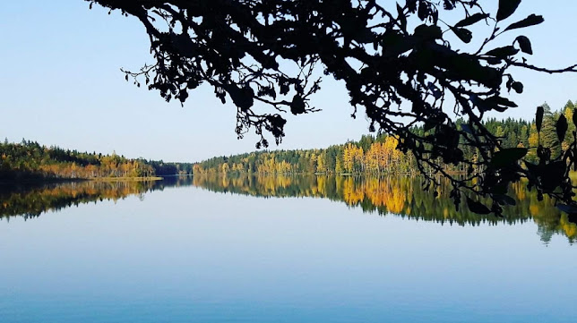 Eräruokapalvelu Ilonen Hauki - Muurame