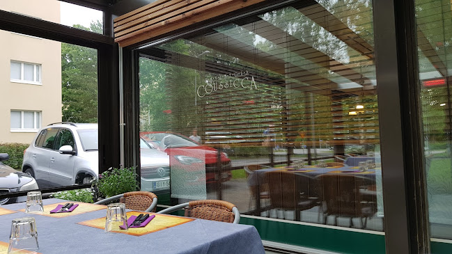 Comentarii opinii despre Ravintola Coussicca