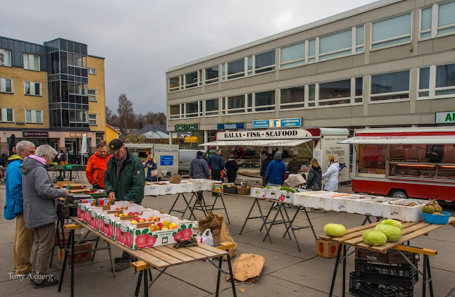Raatihuoneen tori Tammisaaressa - Tammisaaren tori - Ravintola-ala