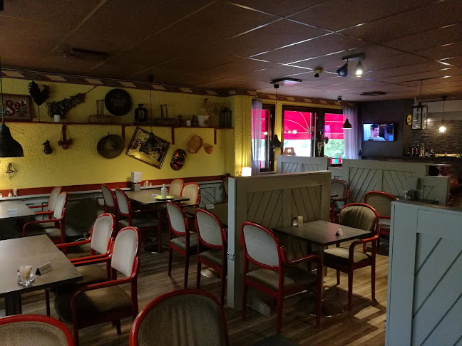 Caballo Bayo - Lohja