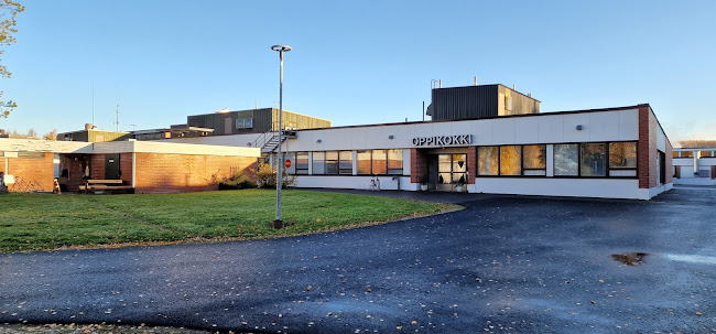 Comentarii opinii despre Oppikokki