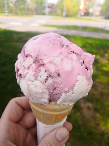 Kiikan jäätelökioski - Ravintola-ala