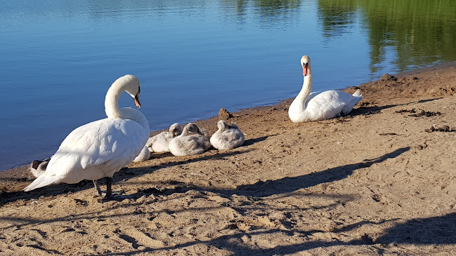Ravintola Töölönranta - Helsinki