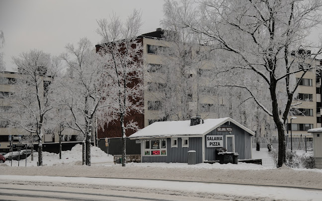 Salama Pizzeria - Ravintola-ala