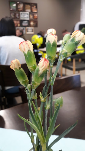 Salon Patarouva Oy - Ravintola-ala