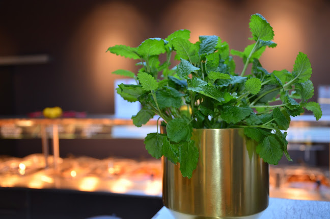 Ravintola Greenport - Ravintola-ala