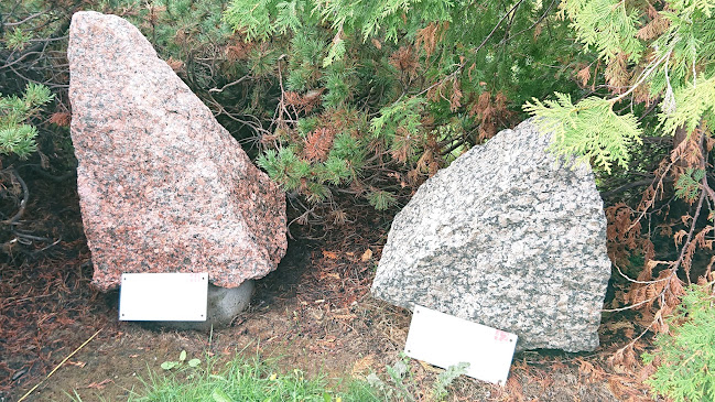 Comentarii opinii despre Utajärven Leipomopalvelu Oy