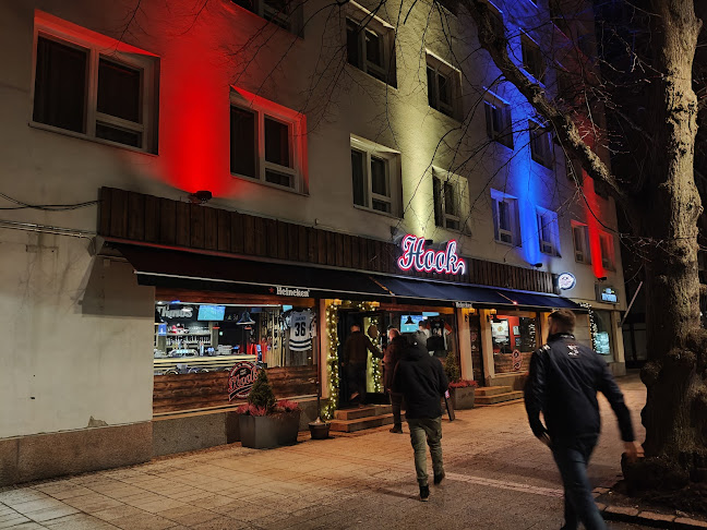 Comentarii opinii despre Hook Rauma