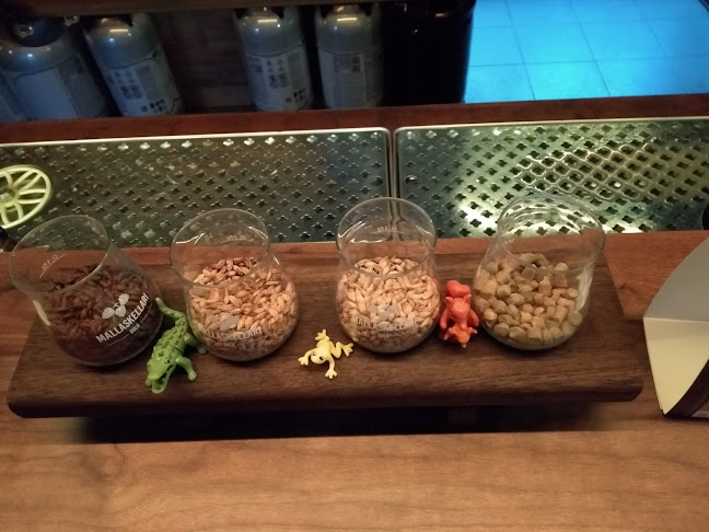 Comentarii opinii despre Mallaskellari