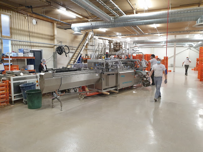 Comentarii opinii despre Putaan Pulla Oy