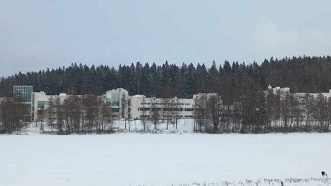 Mattilanniemi 2, 40100 Jyväskylä