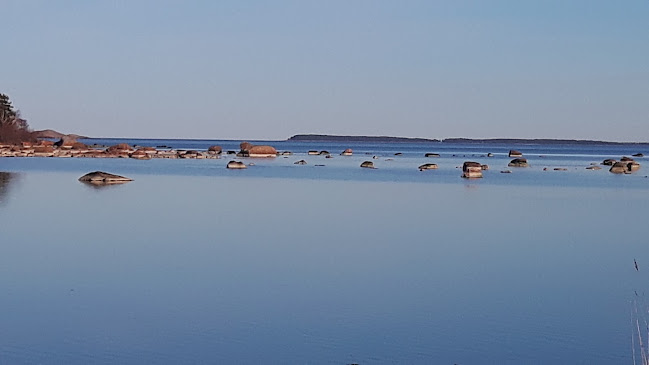 Reviews of Söderbyn Lohi in Loviisa - Ravintola-ala