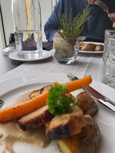 Comentarii opinii despre Ammattiopisto Samiedu, Paviljongin kampus