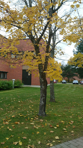 80100, Yliopistokatu 4, Joensuu