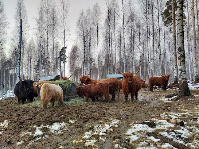 Haantie 5, 13500 Hämeenlinna