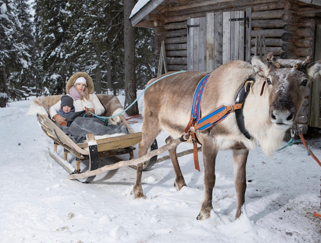 Lammintupa - Ravintola-ala