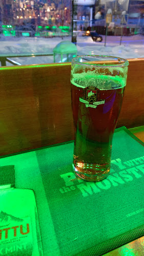 Ravintola Fenix - Ravintola-ala