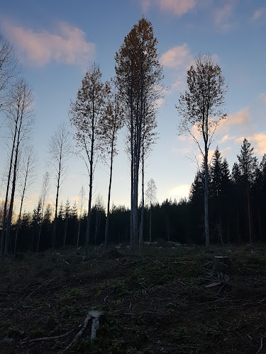kulku, Korpikoskentie 33 risteyksen kautta, Latupirtintie 32, 50670 Mikkeli