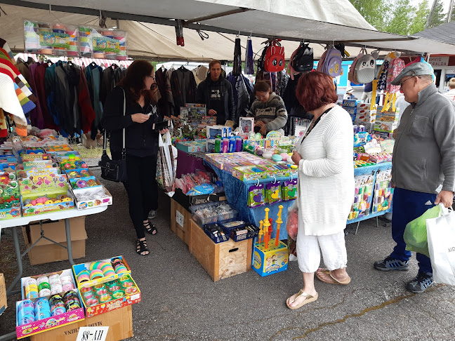 Comentarii opinii despre Somerniemen kesätori