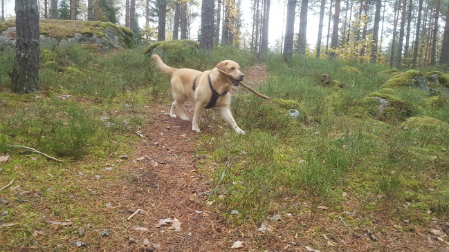 Opinii despre Kotileipomo Kipakka în Kotka - Ravintola-ala