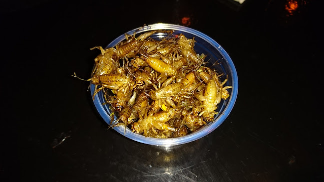 Rytmikorjaamo - Seinäjoki