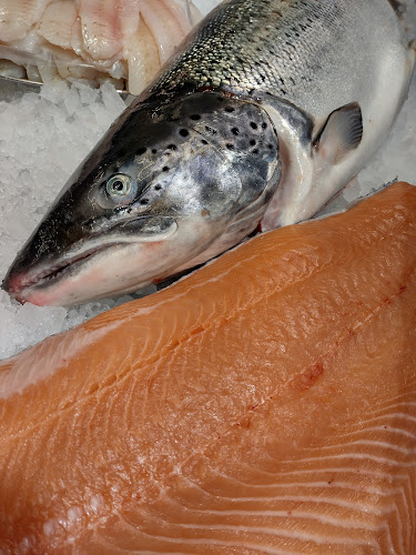 Lohitie 33, 07900 Loviisa