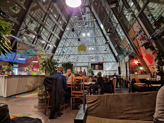 Opinii despre CoolHead Brew / CoolHead Taproom în Helsinki - Ravintola-ala