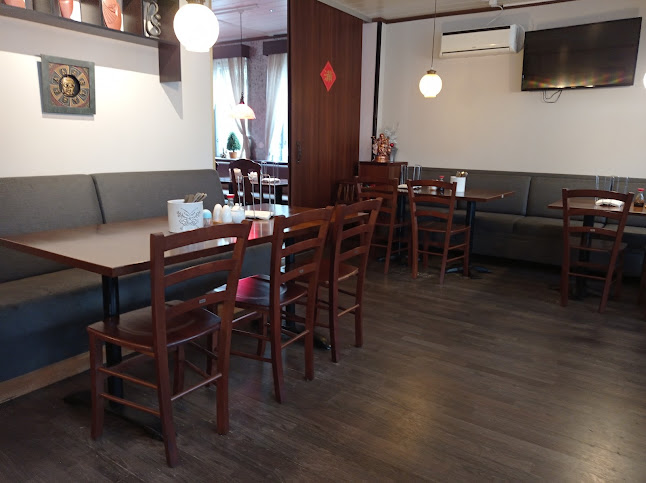 Ocean Dragon - Kurikka