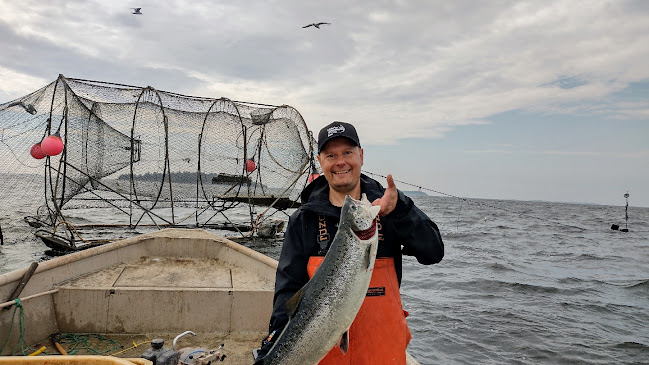 Kalakauppa Åvalls E. Eriksson - Helsinki